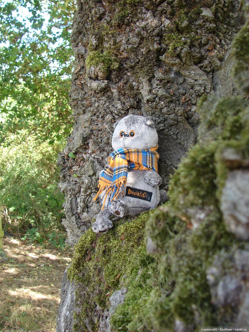 РуссоТуристо - Басик — Кот Басик