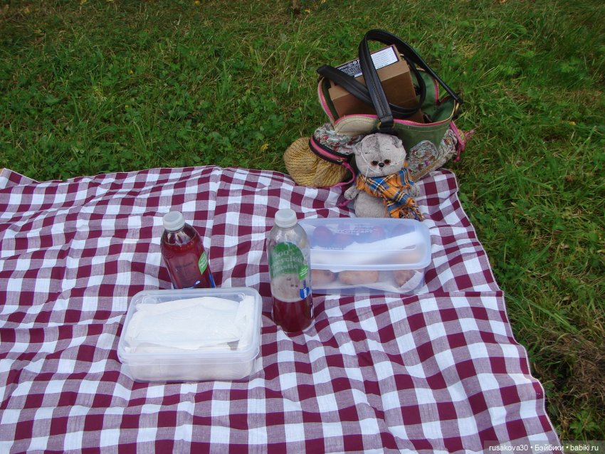 РуссоТуристо - Басик — Кот Басик