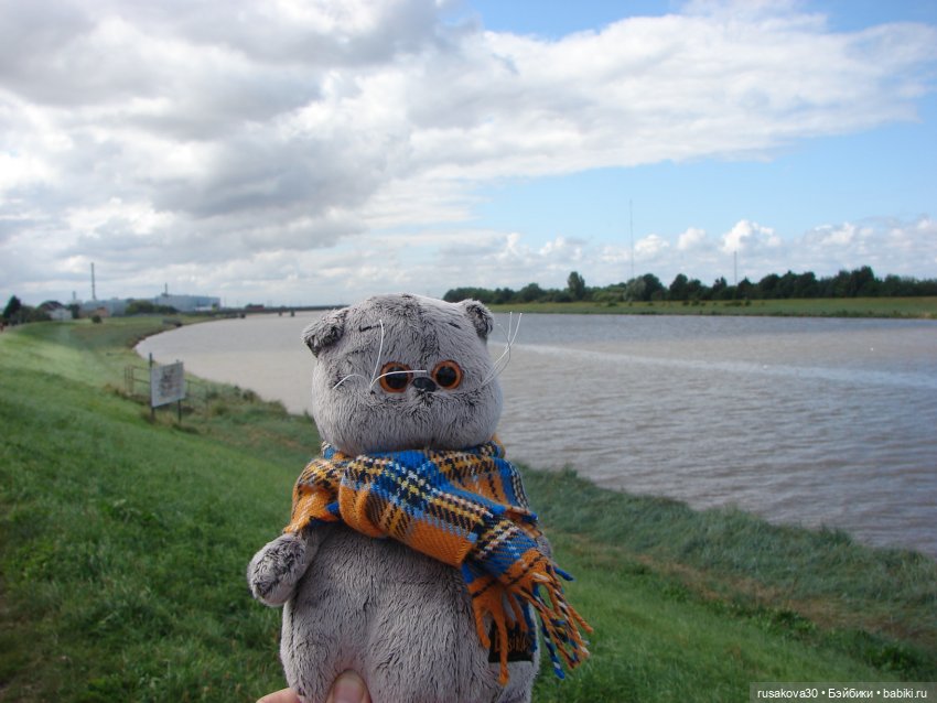 РуссоТуристо - Басик — Кот Басик (фото 6)