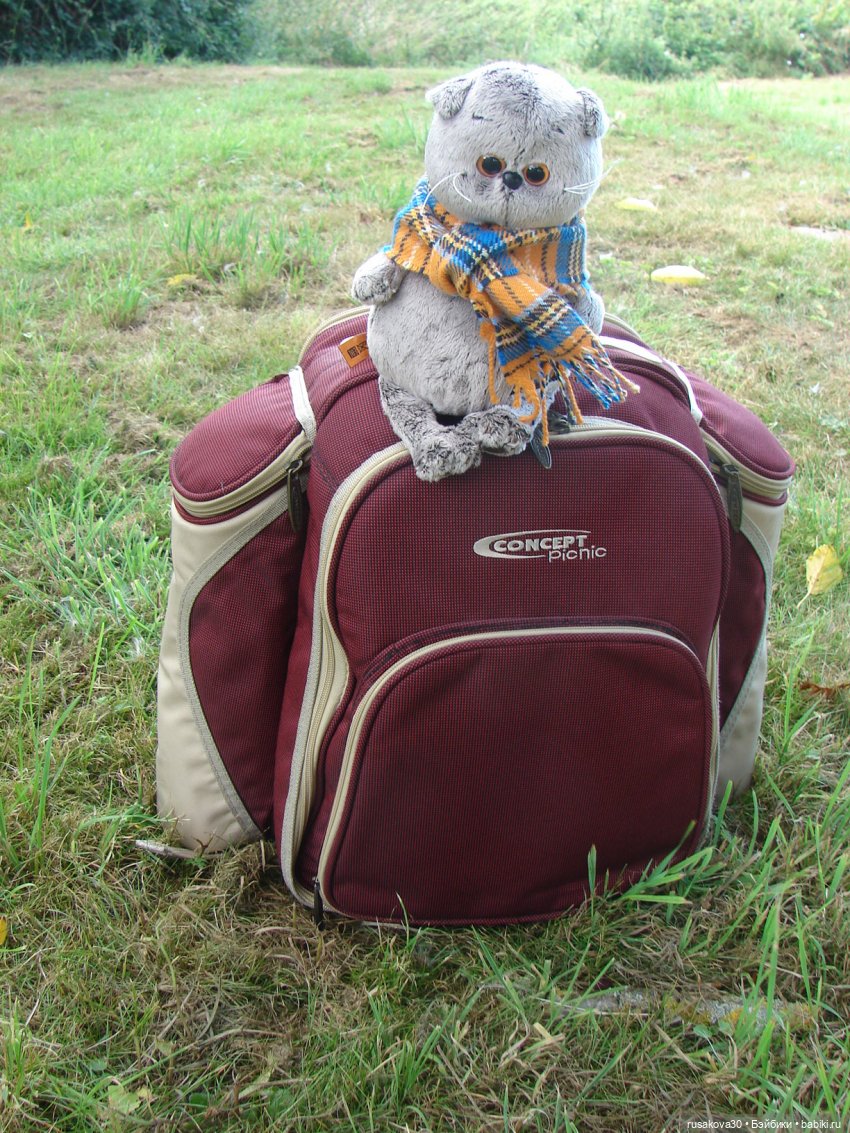 РуссоТуристо - Басик — Кот Басик (фото 4)