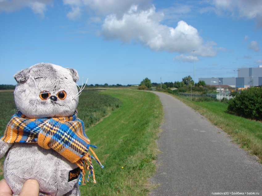 РуссоТуристо - Басик — Кот Басик (фото 7)