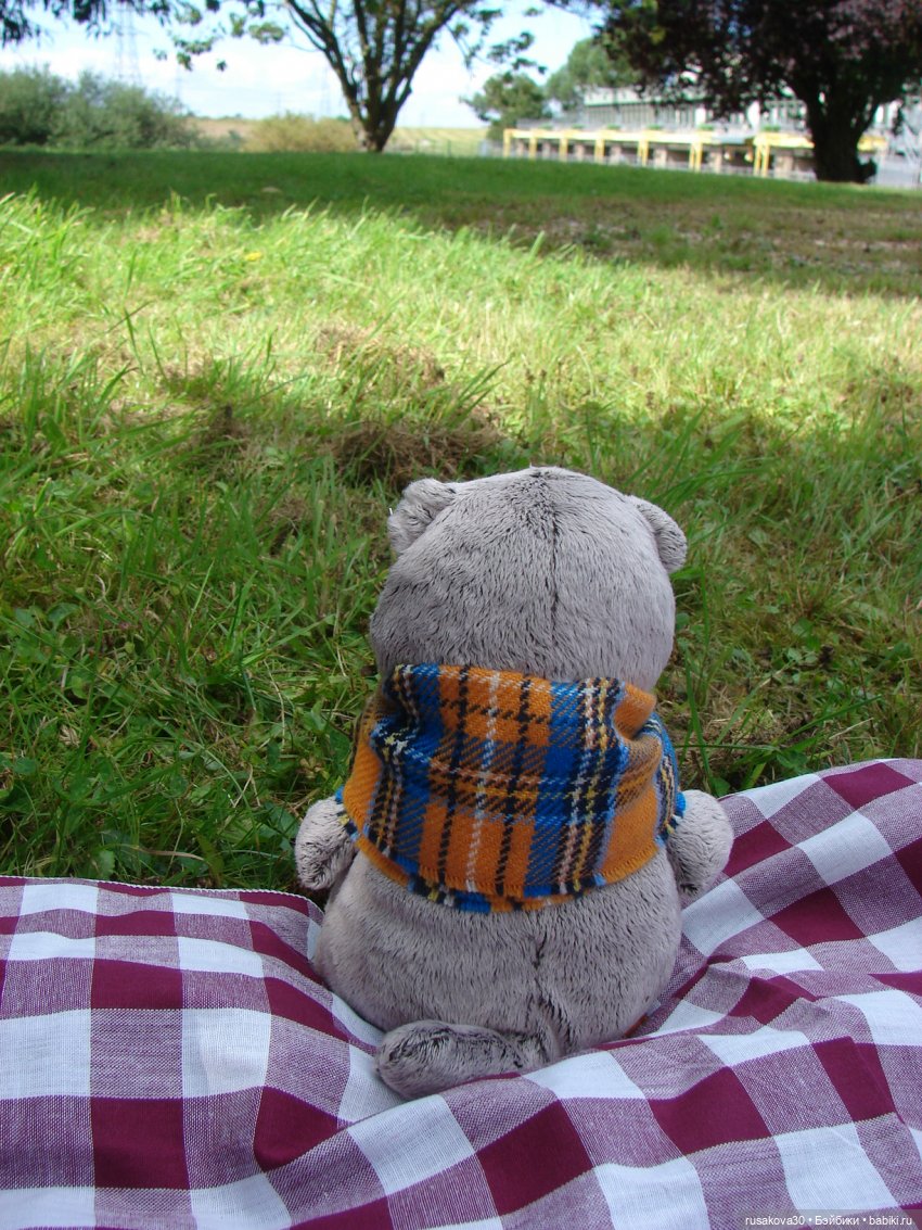 РуссоТуристо - Басик — Кот Басик