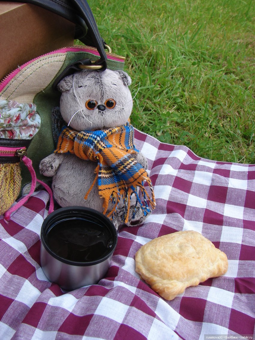 РуссоТуристо - Басик — Кот Басик