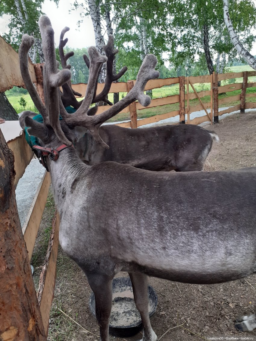 Новосибирск - «Мира Парк»(продолжение)