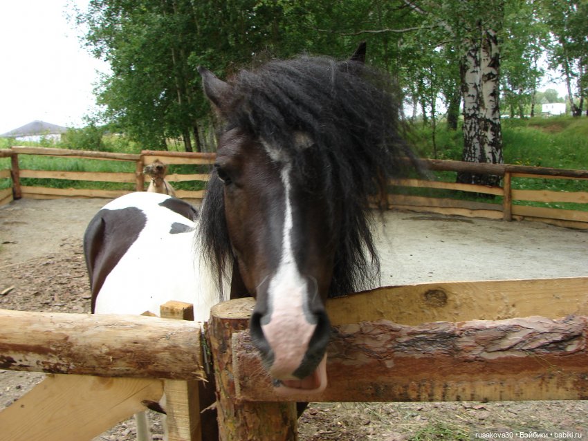 Новосибирск - «Мира Парк»(продолжение)