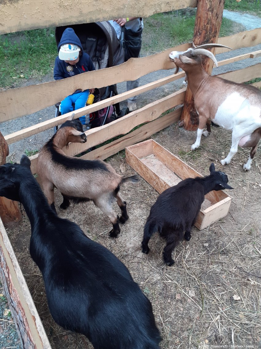 Новосибирск - «Мира Парк»(продолжение) (фото 10)