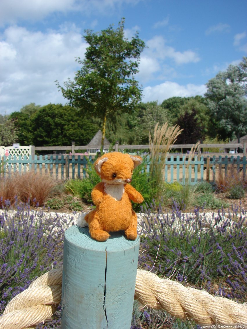 Мой рыжий приз — Авторские мишки Тедди и друзья: фото