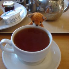 Мой рыжий приз