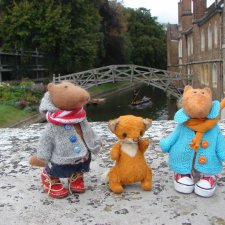 Кембридж, охота на коров