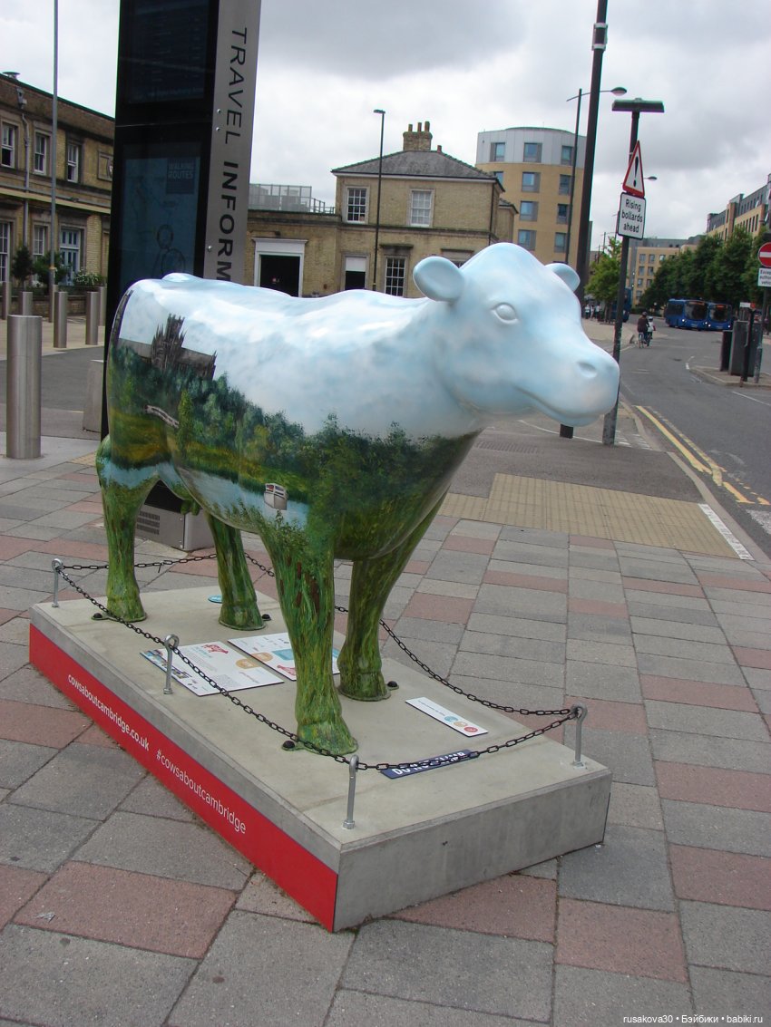 Кембридж, охота на коров — Авторские мишки Тедди и друзья: фото (фото 4)