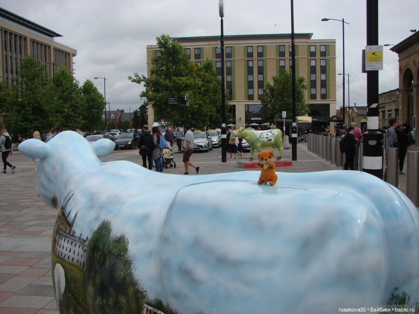 Кембридж, охота на коров — Авторские мишки Тедди и друзья: фото (фото 6)