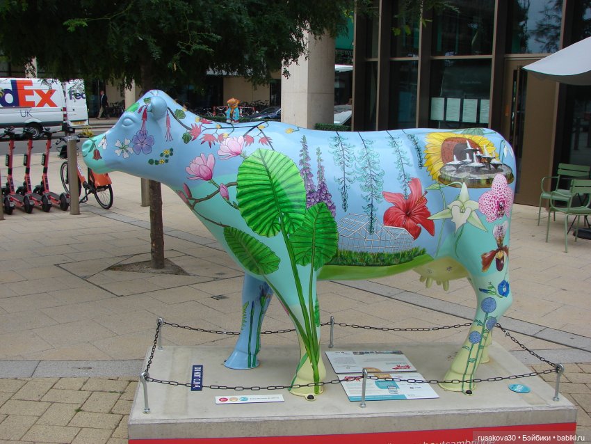 Кембридж, охота на коров — Авторские мишки Тедди и друзья: фото (фото 2)