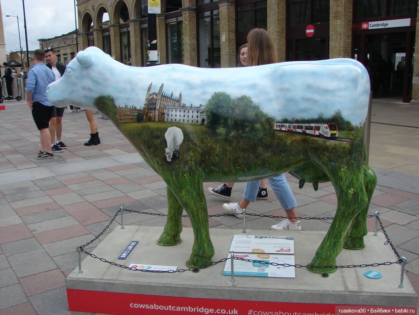 Кембридж, охота на коров — Авторские мишки Тедди и друзья: фото (фото 5)