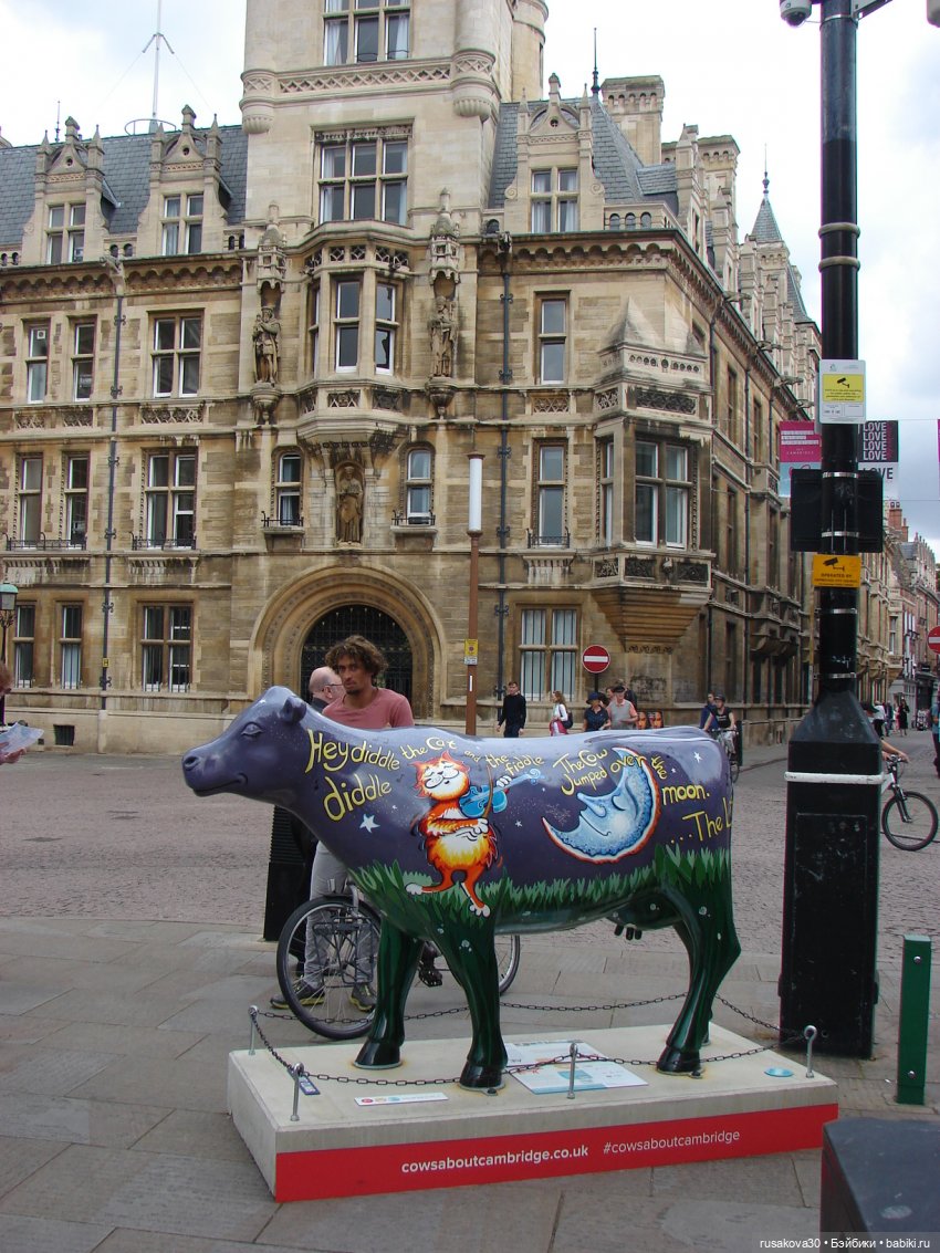 Кембридж, охота на коров — Авторские мишки Тедди и друзья: фото (фото 8)