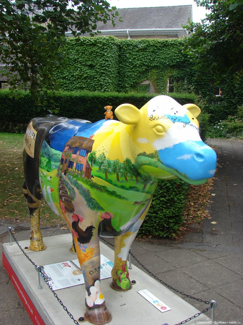 Кембридж, охота на коров — Авторские мишки Тедди и друзья: фото (фото 9)