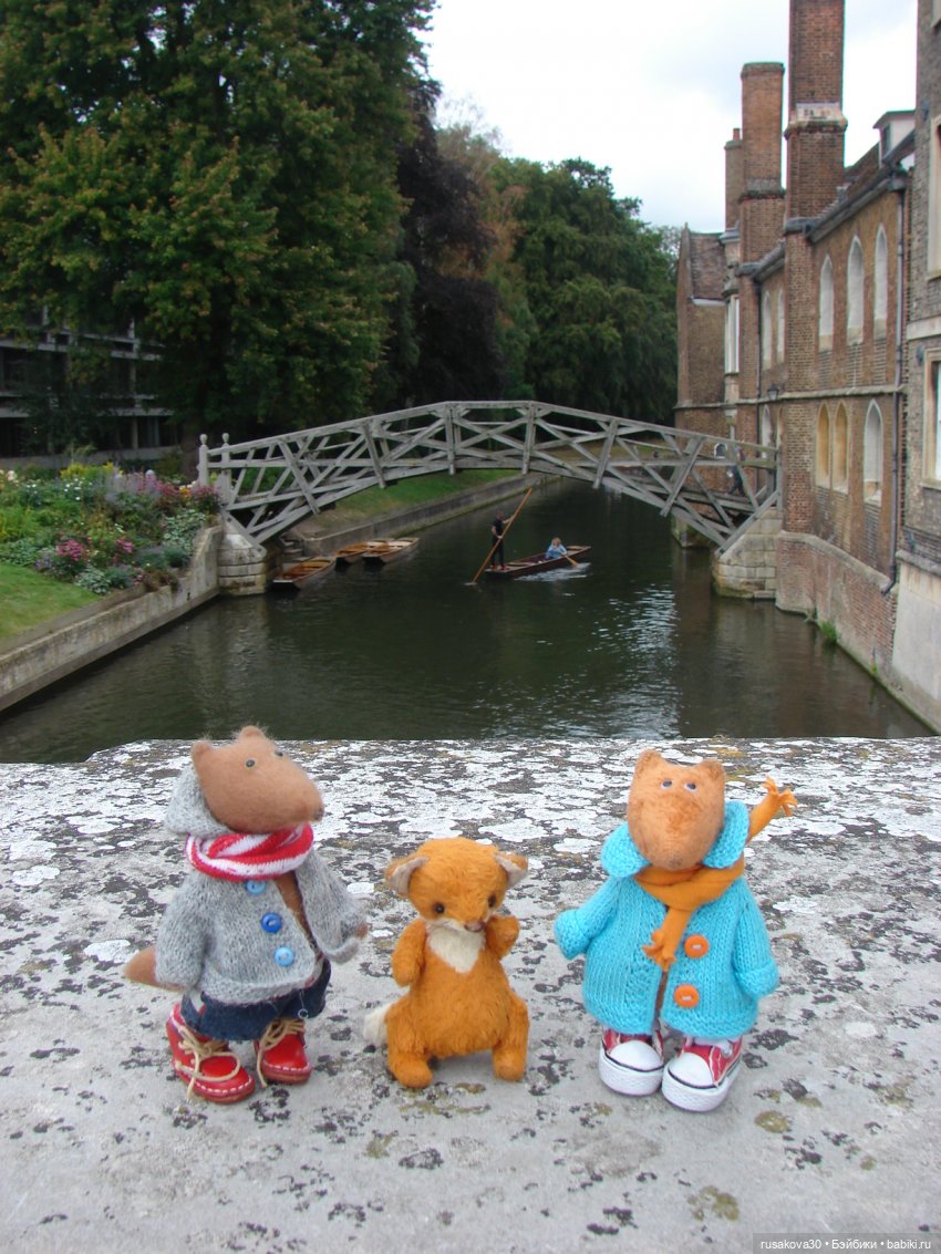 Кембридж, охота на коров — Авторские мишки Тедди и друзья: фото