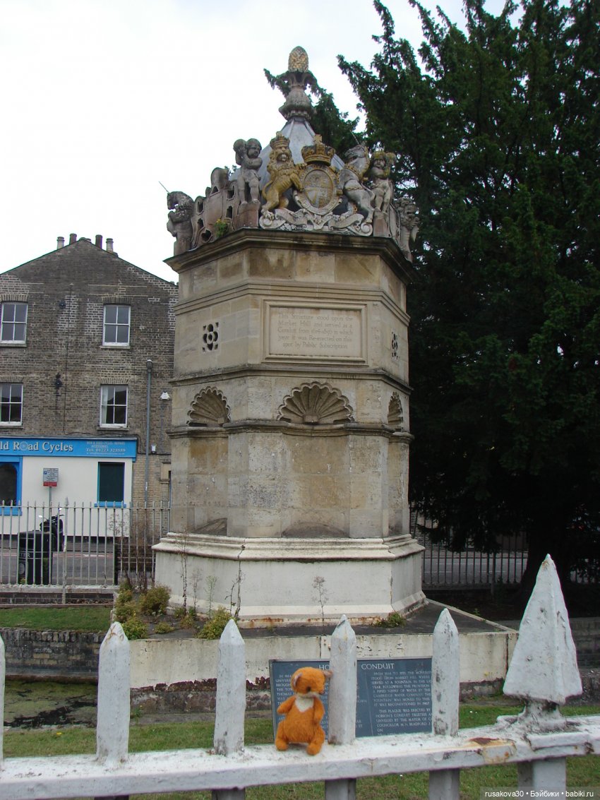 Кембридж, охота на коров — Авторские мишки Тедди и друзья: фото