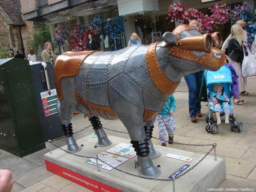 Кембридж, охота на коров — Авторские мишки Тедди и друзья: фото