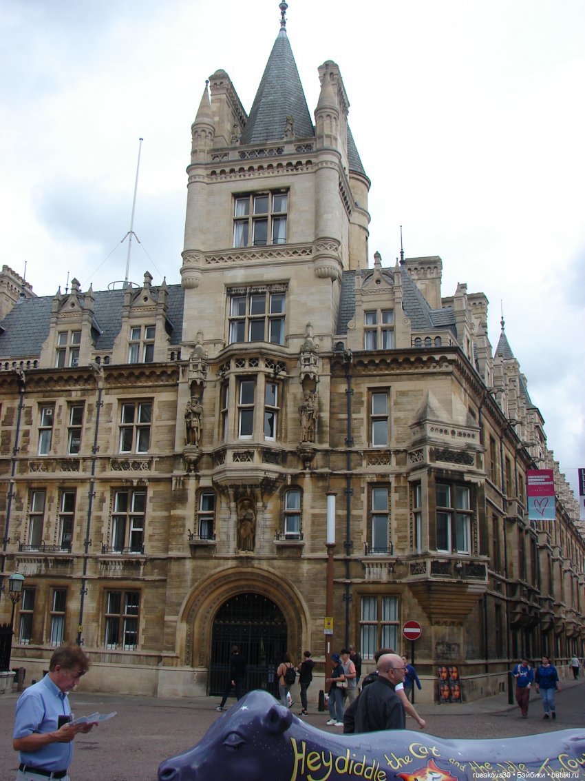 Кембридж, охота на коров — Авторские мишки Тедди и друзья: фото