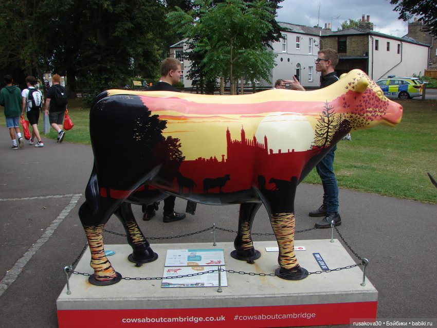 Кембридж, охота на коров — Авторские мишки Тедди и друзья: фото