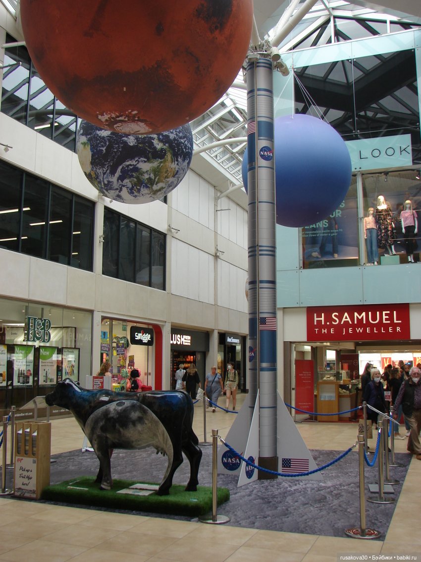 Кембридж, охота на коров — Авторские мишки Тедди и друзья: фото