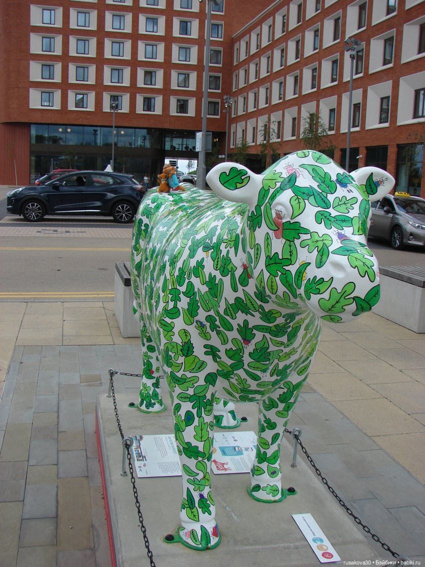 Кембридж, охота на коров — Авторские мишки Тедди и друзья: фото