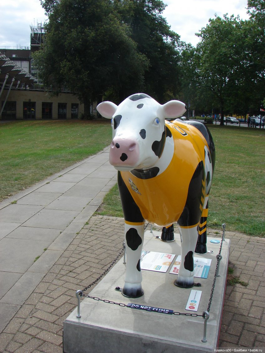 Кембридж, охота на коров — Авторские мишки Тедди и друзья: фото