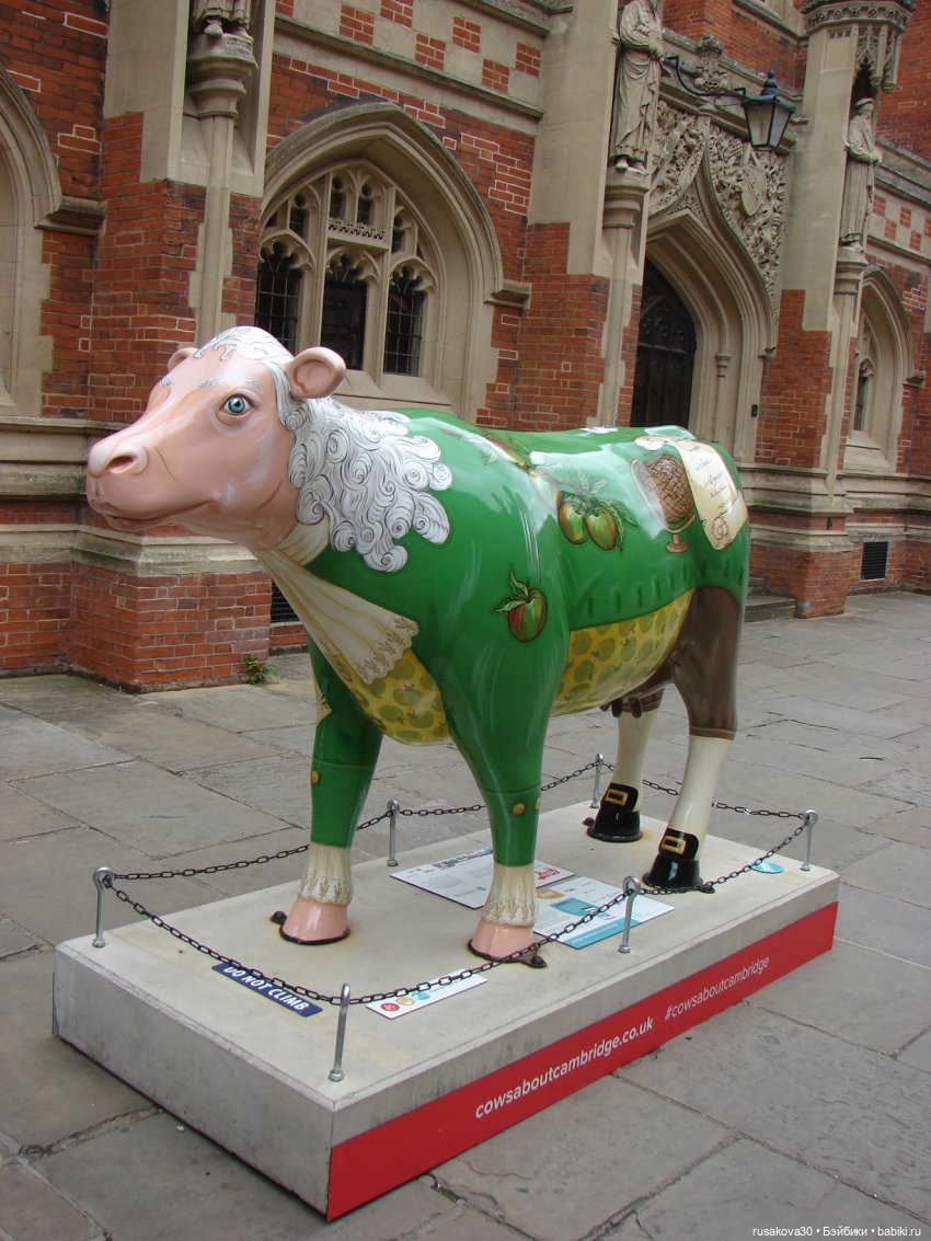Кембридж, охота на коров — Авторские мишки Тедди и друзья: фото