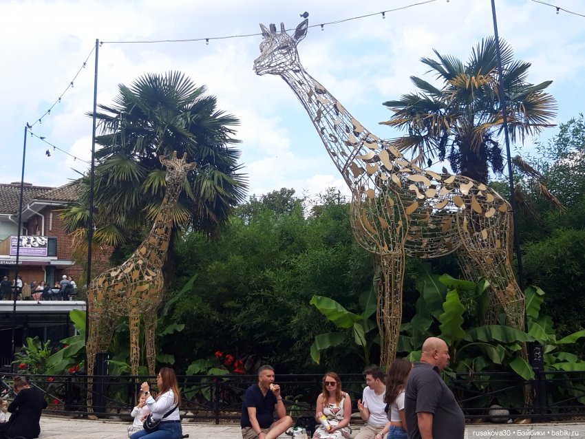 Лондонский зоопарк — Кот Басик (фото 6)