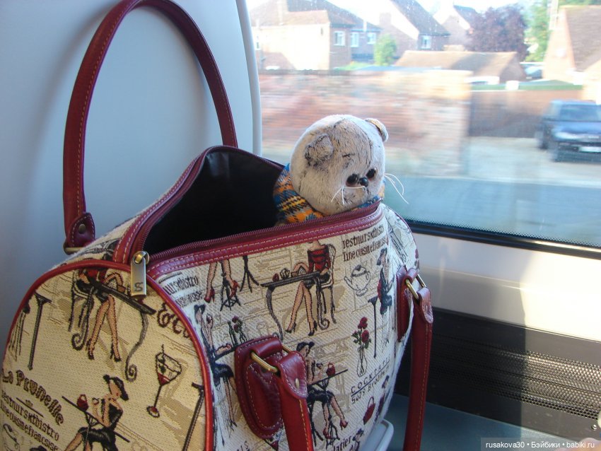 Лондонский зоопарк — Кот Басик (фото 3)