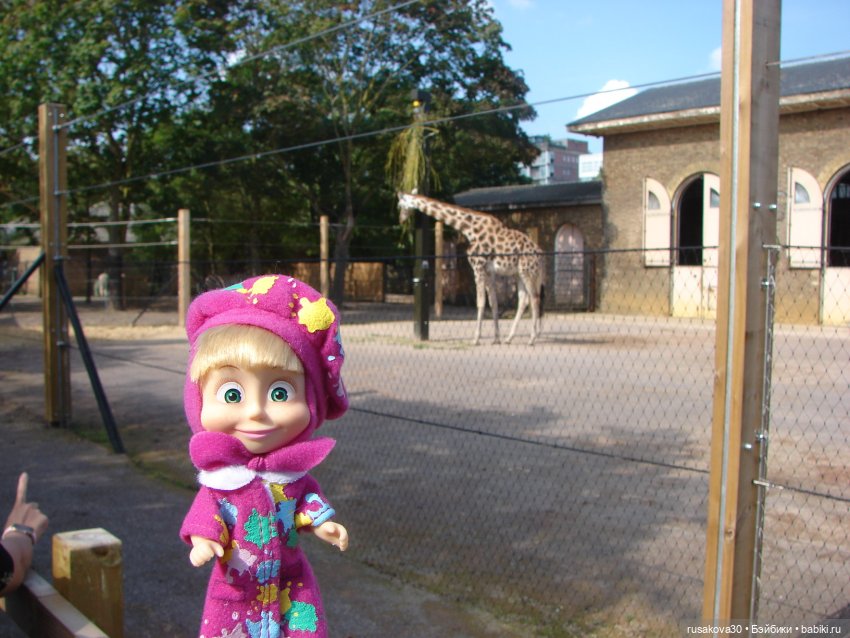 Лондонский зоопарк — Кот Басик