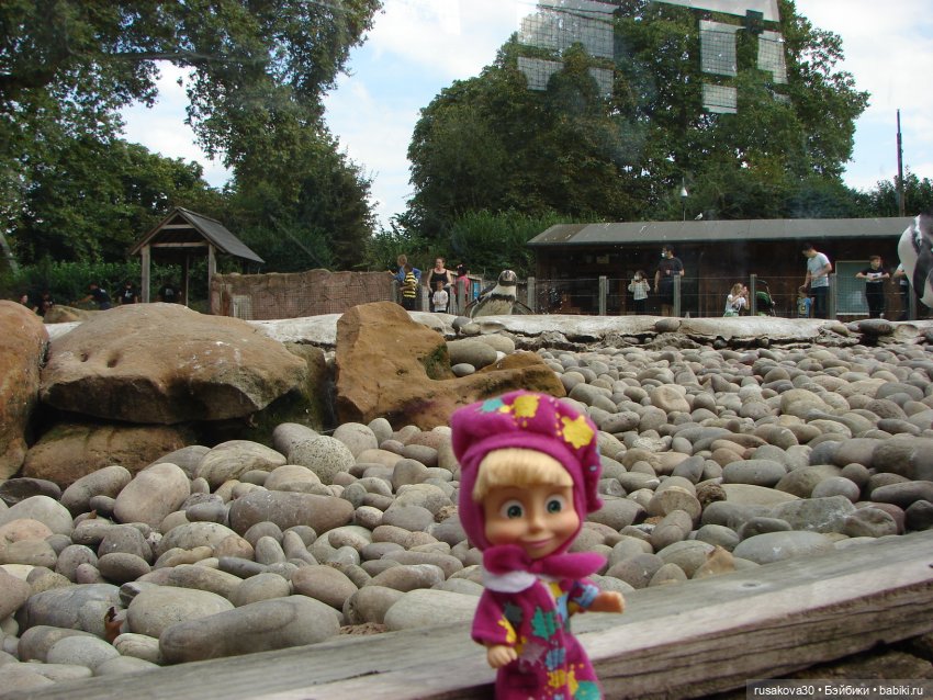 Лондонский зоопарк — Кот Басик