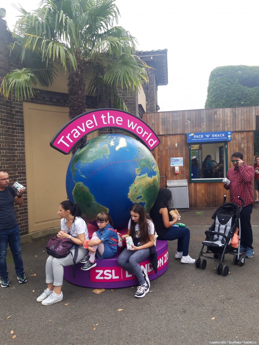 Лондонский зоопарк — Кот Басик (фото 9)