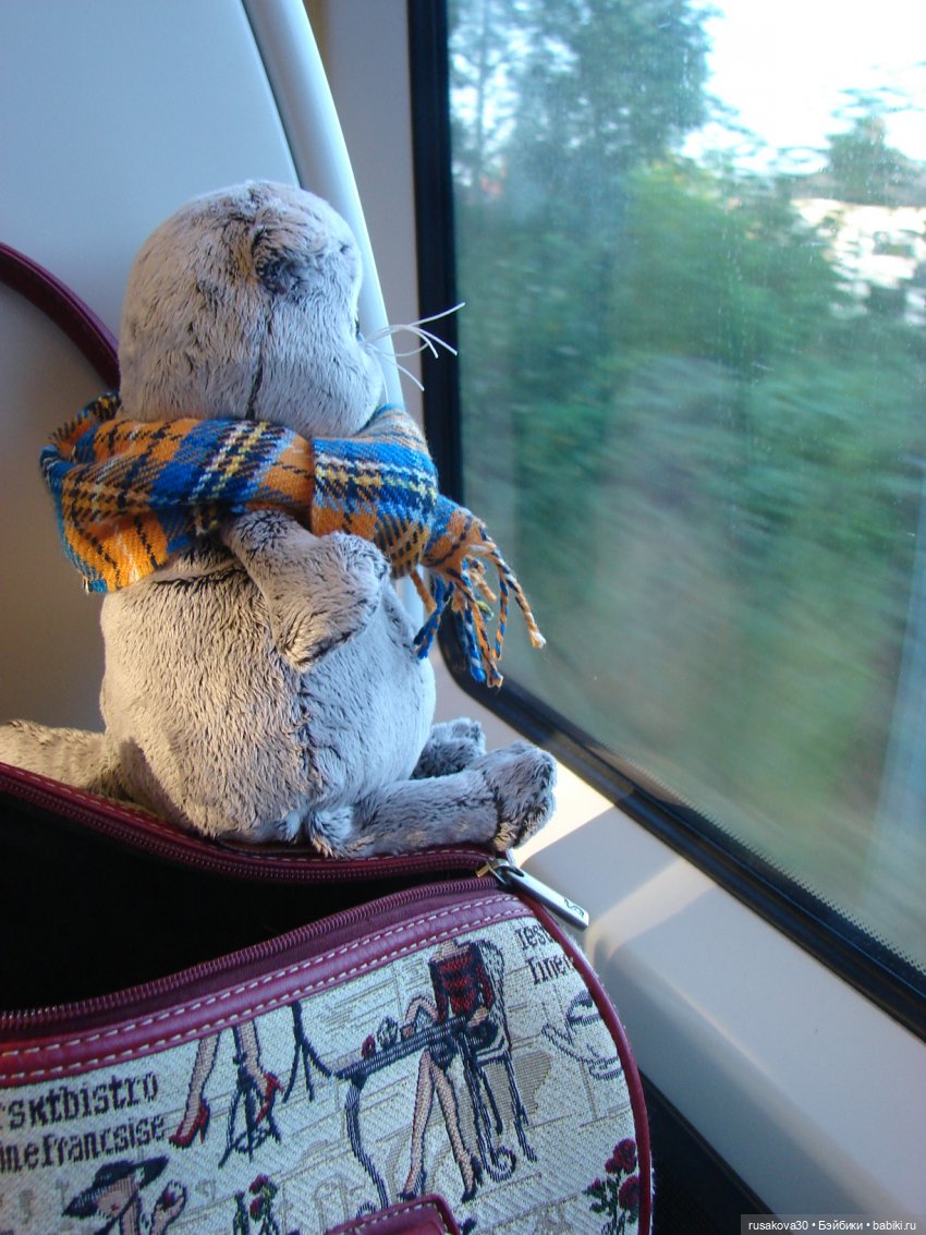 Лондонский зоопарк — Кот Басик (фото 4)