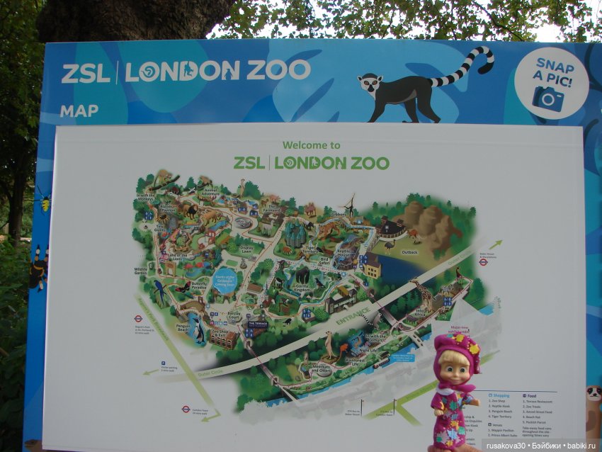 Лондонский зоопарк .(продолжение)