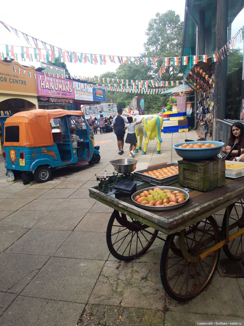 Лондонский зоопарк .(продолжение) (фото 7)