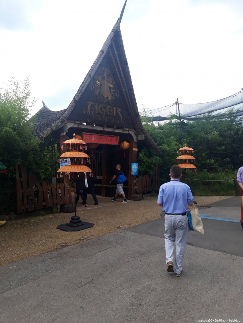 Лондонский зоопарк .(продолжение) (фото 2)