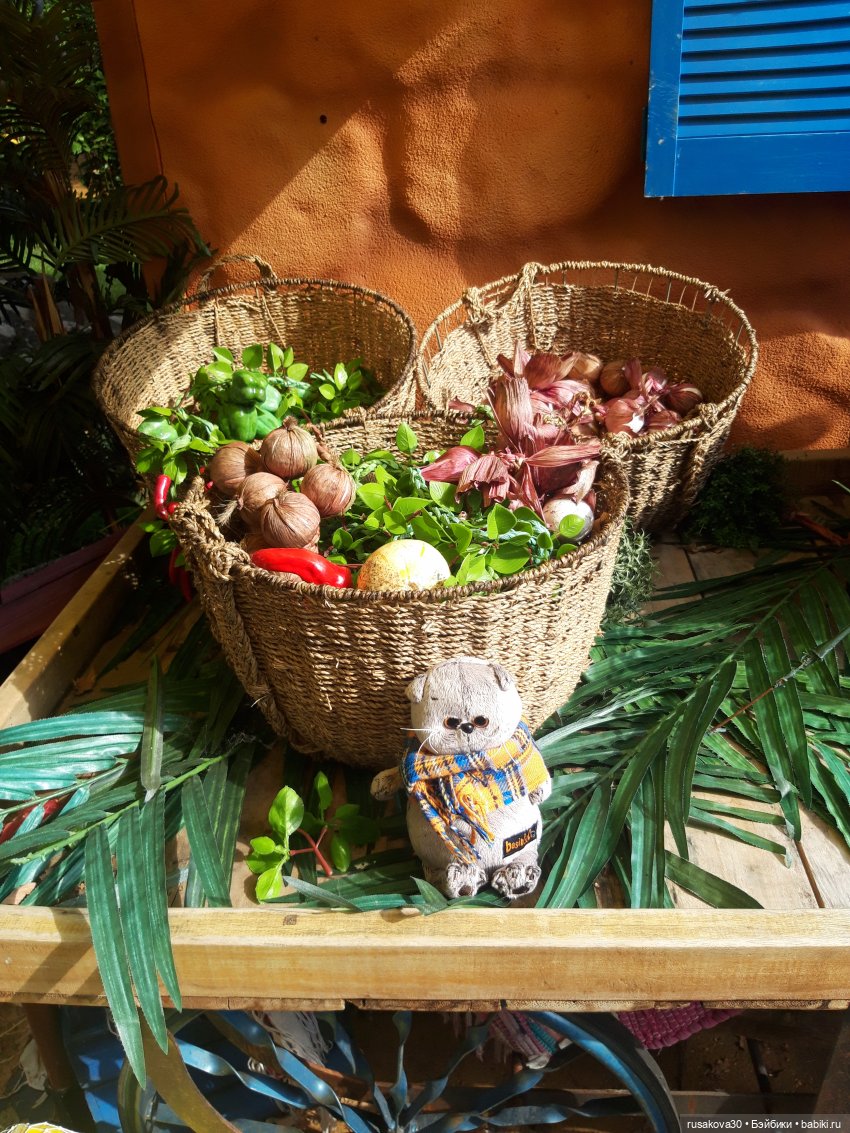 Лондонский зоопарк .(продолжение) (фото 9)