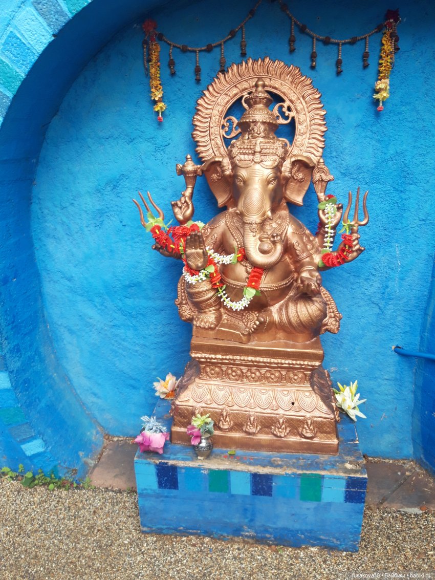 Лондонский зоопарк .(продолжение) (фото 5)