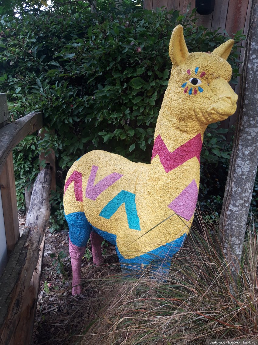 Лондонский зоопарк .(продолжение) (фото 4)