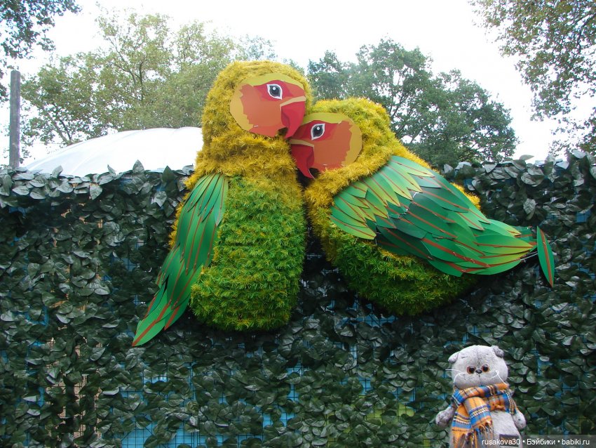 Лондонский зоопарк .(продолжение)