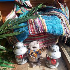 Лондонский зоопарк .(продолжение)