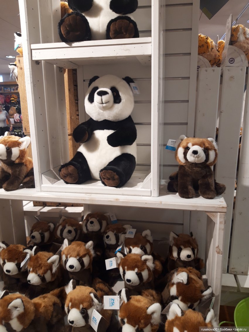 Лондонский зоопарк .(продолжение)