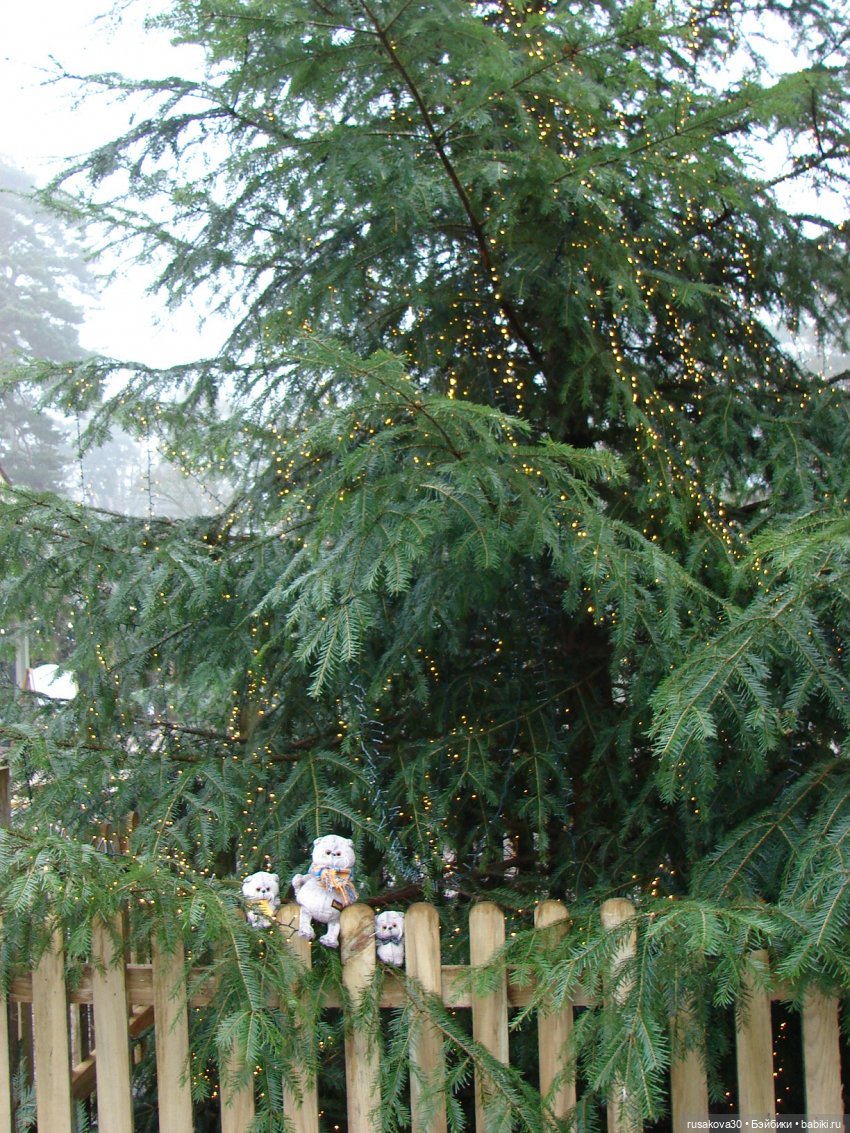 Как Басики к английскому Рождеству готовились (фото 10)