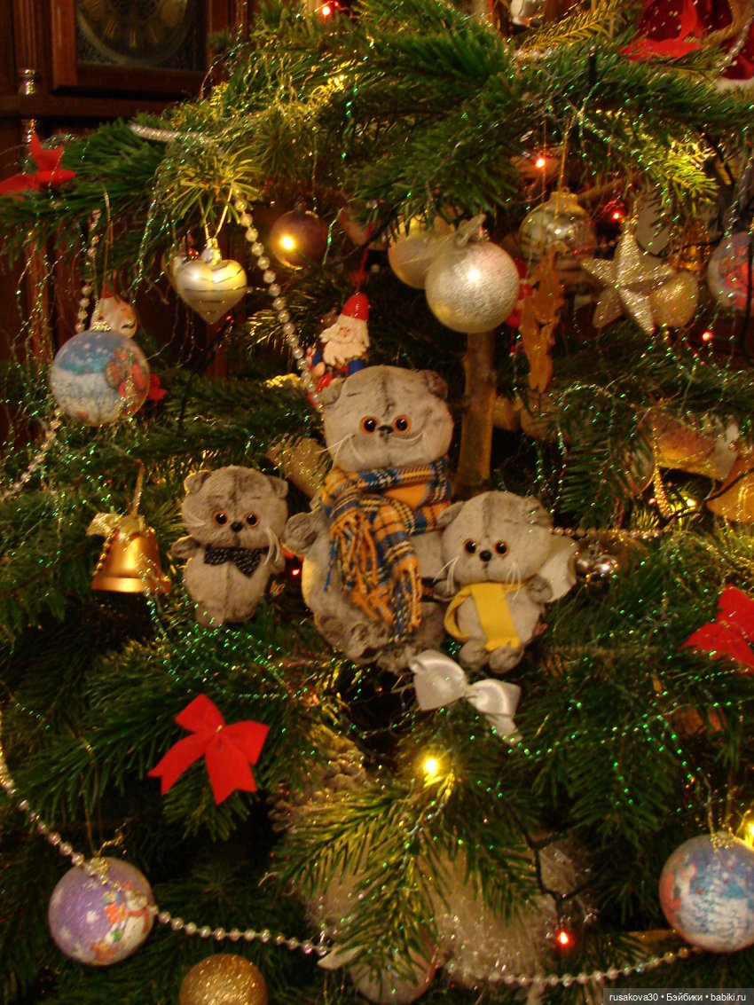 Как Басики к английскому Рождеству готовились (фото 4)