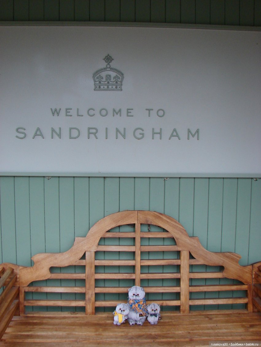 Как Басики к английскому Рождеству готовились (фото 5)