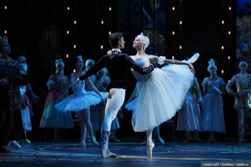 Как Лисенок в Новосибирский государственный академический театр оперы и балета ходил (фото 3)