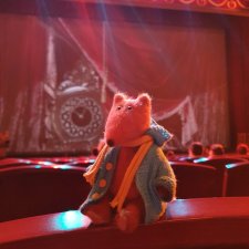 Как Лисенок в Новосибирский государственный академический театр оперы и балета ходил..