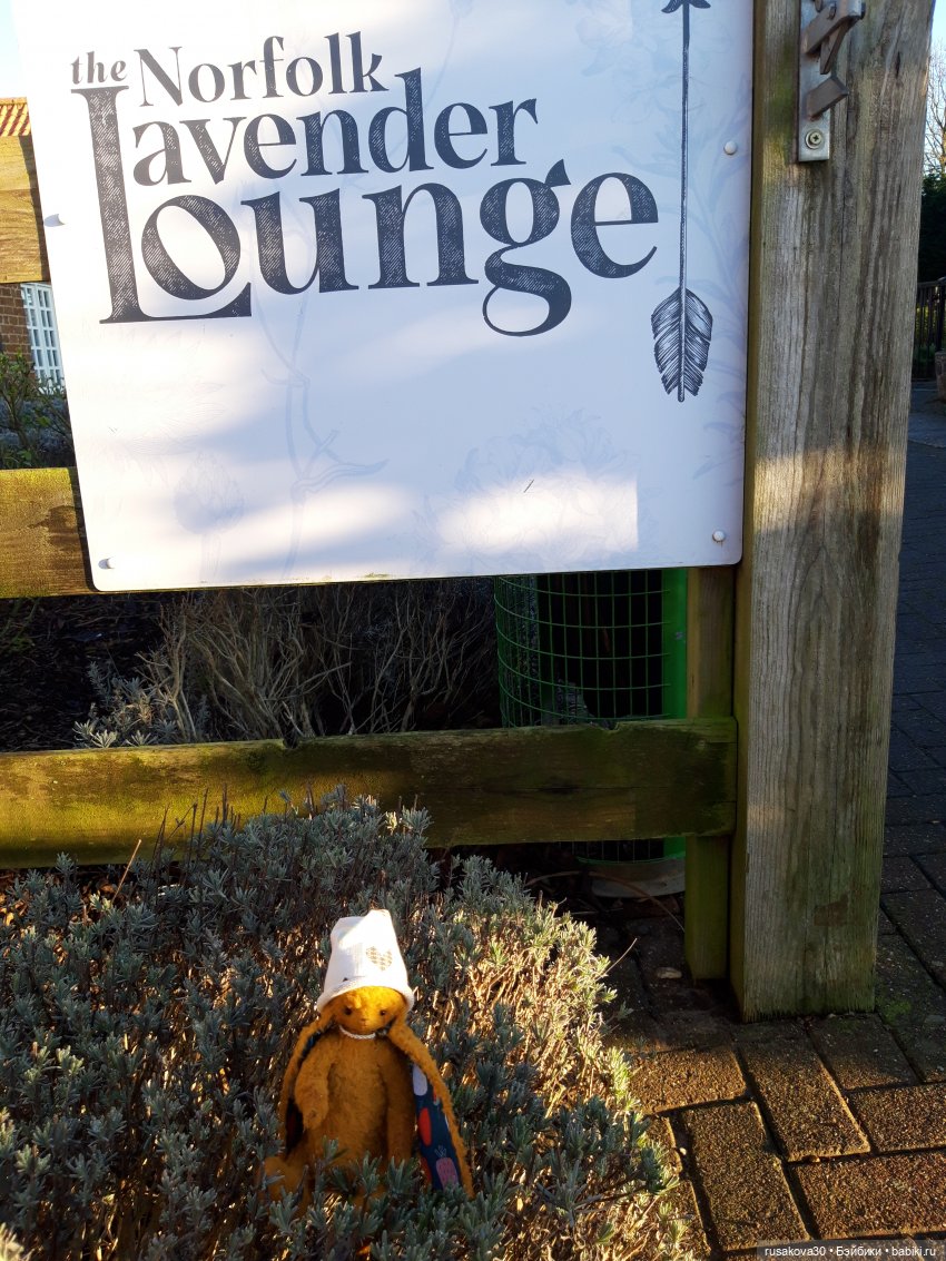 Сашенька путешествует по Англии