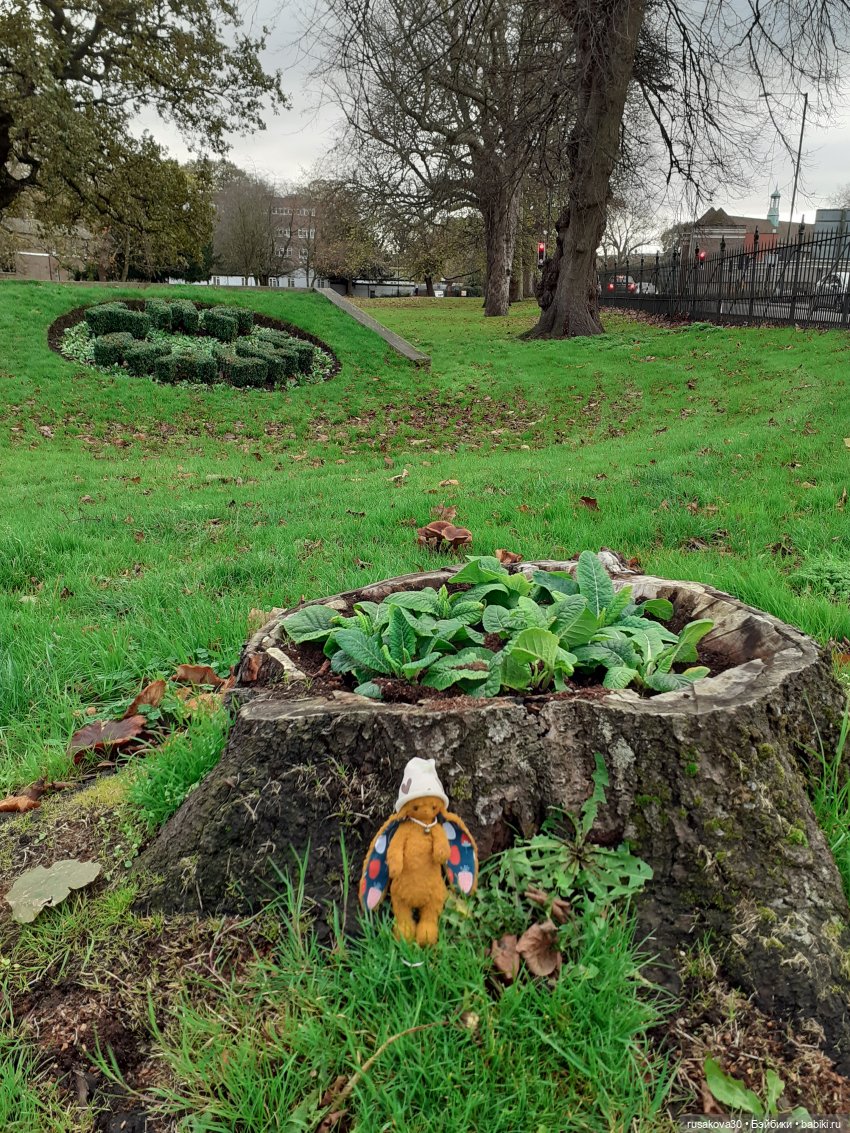 Сашенька путешествует по Англии